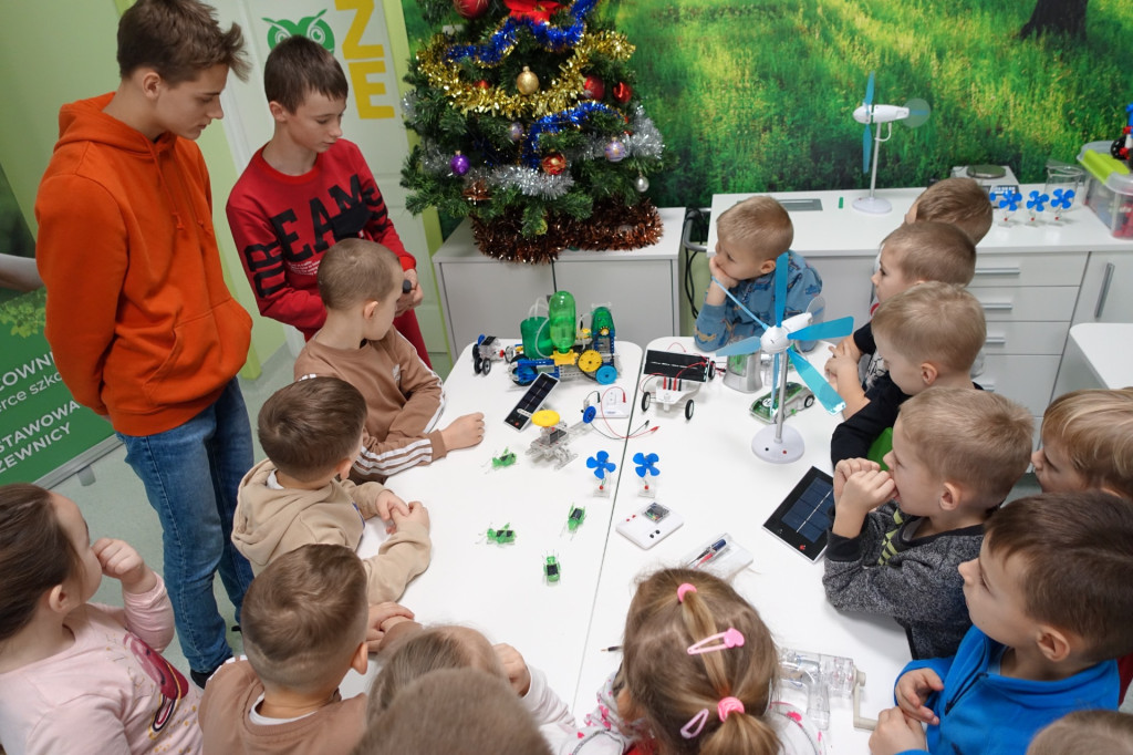 Warsztaty dla przedszkolaków z OŹE w Domaszewnicy