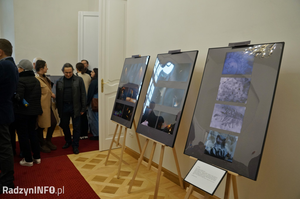 Wystawy radzyńskich artystów w pałacu Potockich