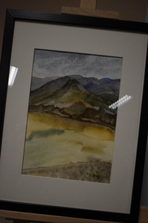 Promocja książki Teresy Pływacz w Lisiowólce