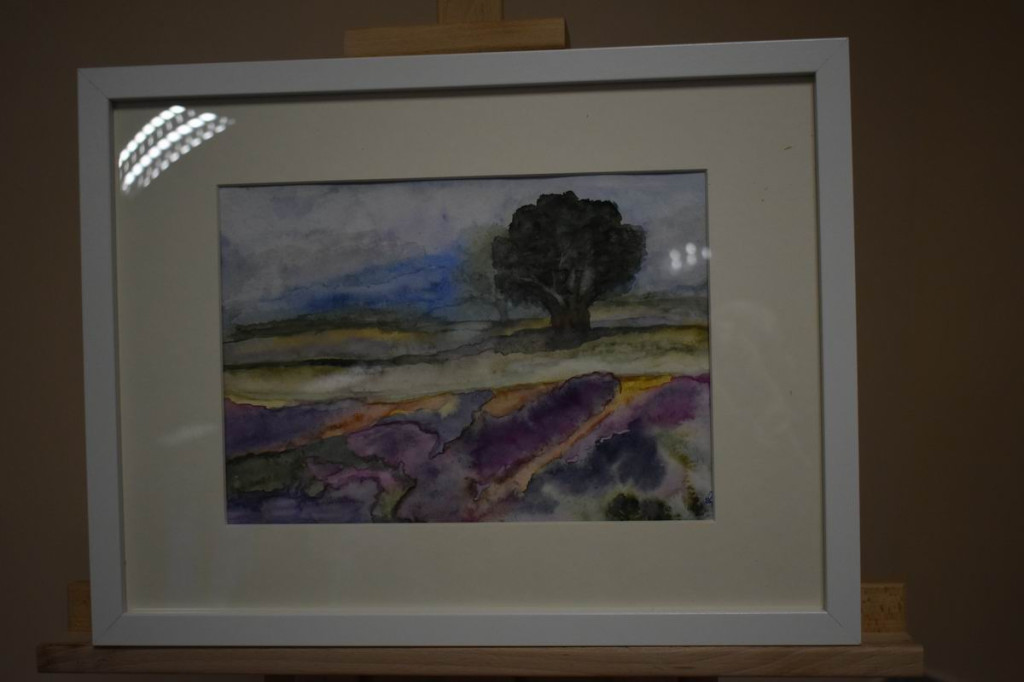 Promocja książki Teresy Pływacz w Lisiowólce