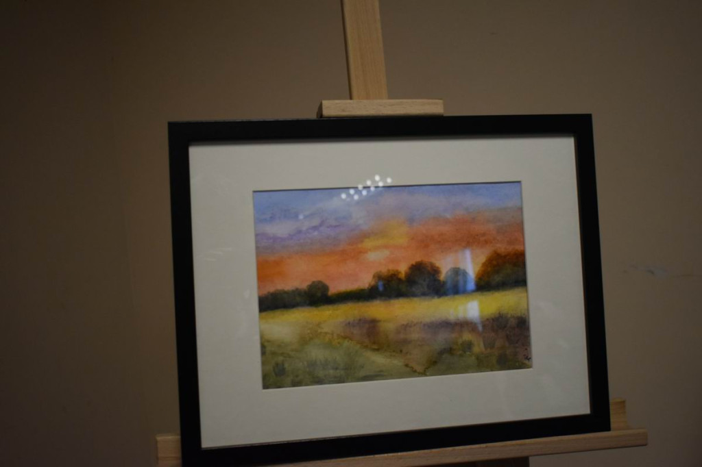 Promocja książki Teresy Pływacz w Lisiowólce