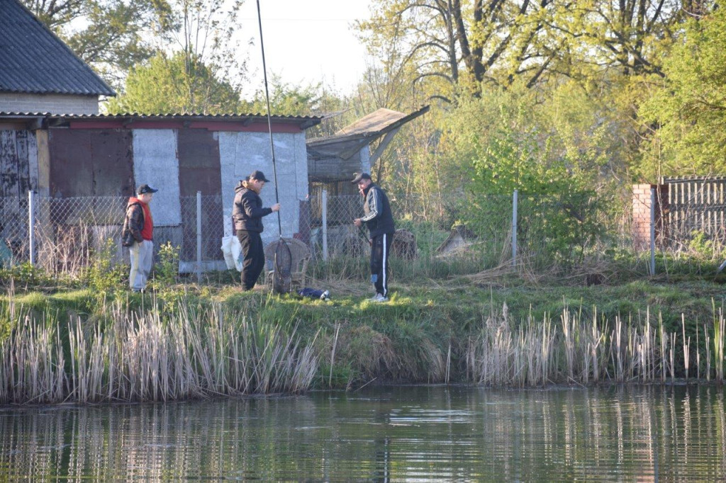 Gminne Zawody Wędkarskie w Żabikowie