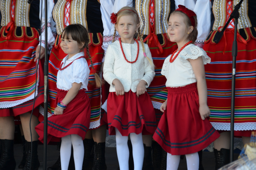 Spotkanie z Pieśnią Ludową w Domaszewnicy
