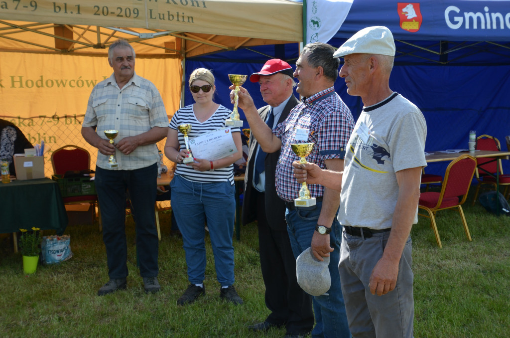  IX Młodzieżowy Czempionat Koni Ras Zimnokrwistych