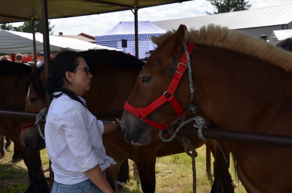  IX Młodzieżowy Czempionat Koni Ras Zimnokrwistych
