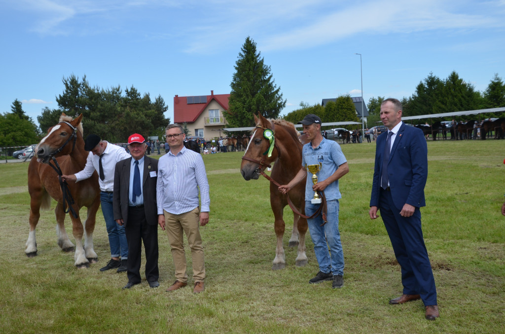  IX Młodzieżowy Czempionat Koni Ras Zimnokrwistych