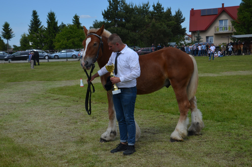  IX Młodzieżowy Czempionat Koni Ras Zimnokrwistych