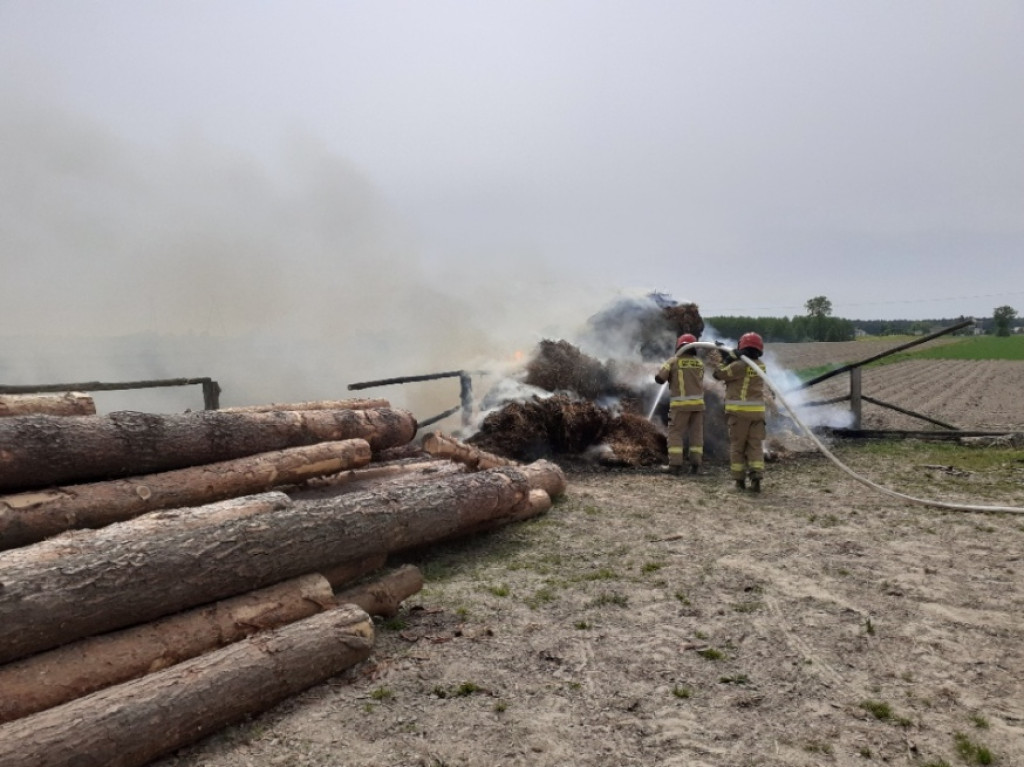 Interwencje strażaków w maju