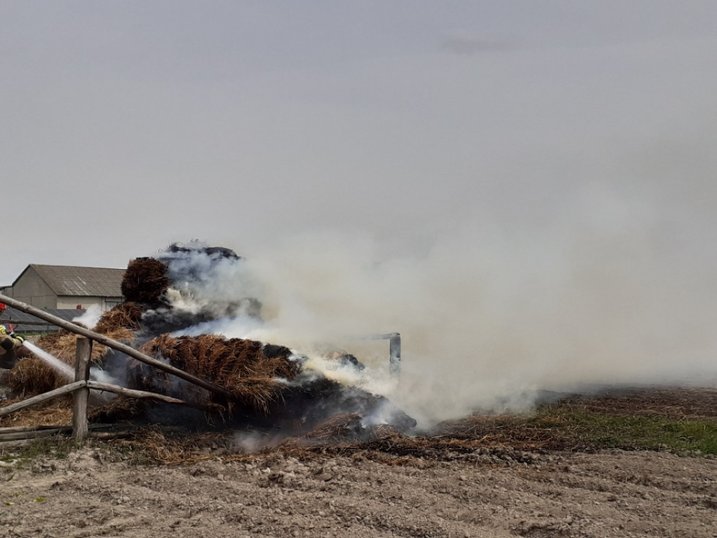 Interwencje strażaków w maju