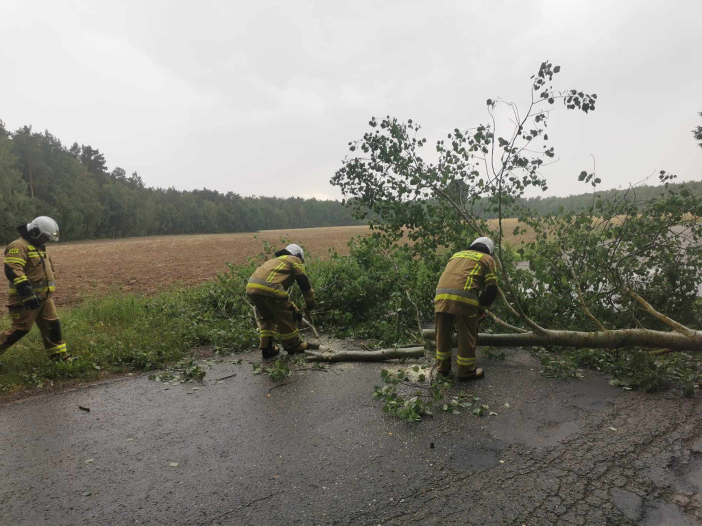 Usuwanie powalonych drzew w gminie Komarówka