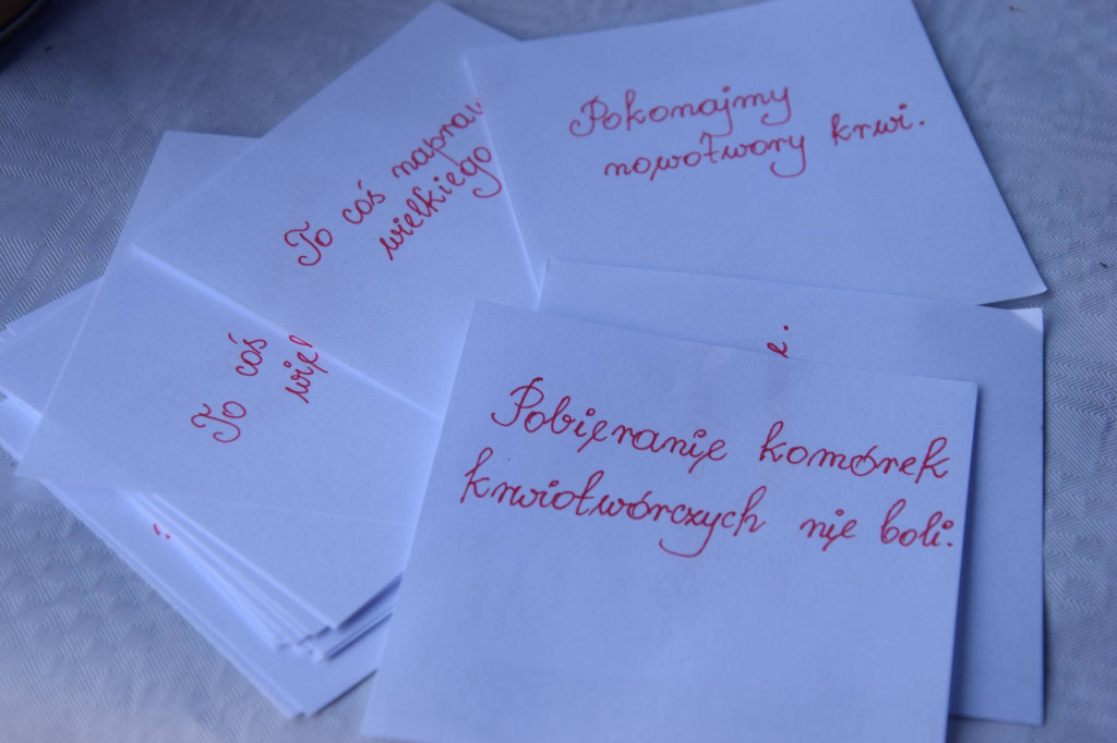 Akcja popularyzacji dawstwa szpiku w Ulanie