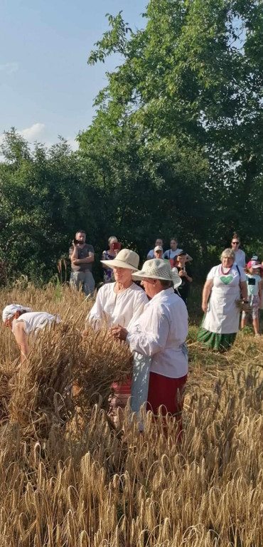 Święto Kosy w Retro Zagrodzie w Białej