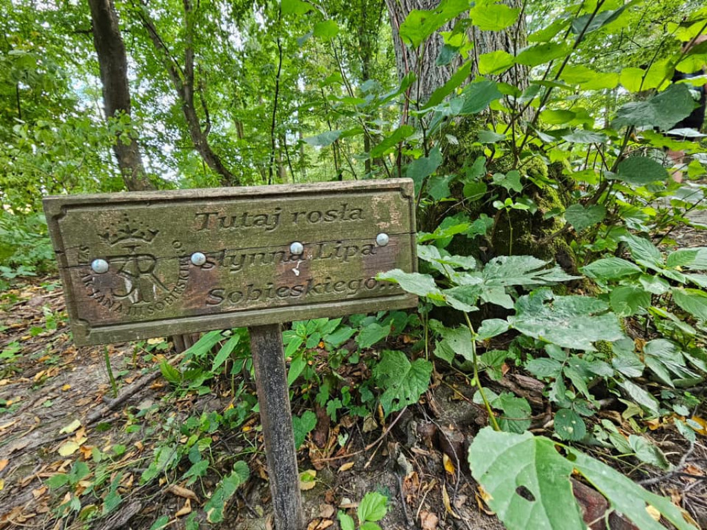 Półkolonie integracyjne w gminie Ulan-Majorat