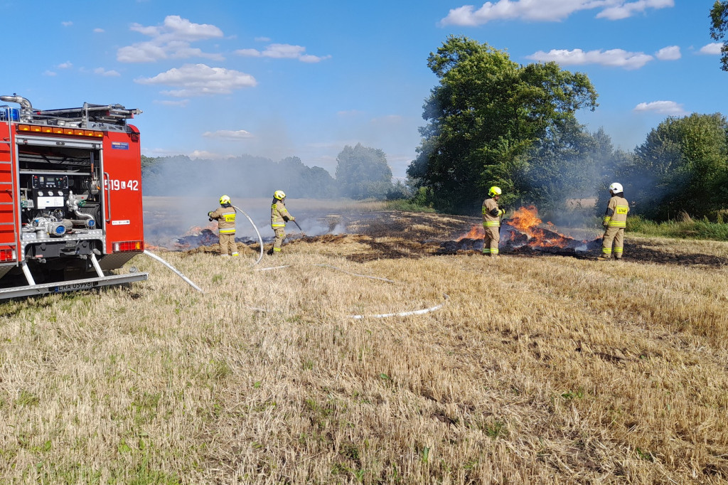 Interwencje strażaków w lipcu
