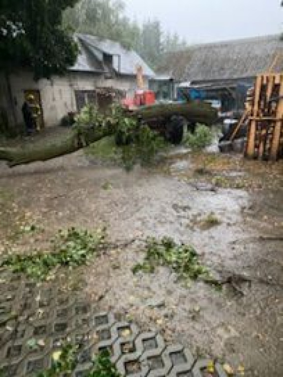 Interwencje strażaków w lipcu