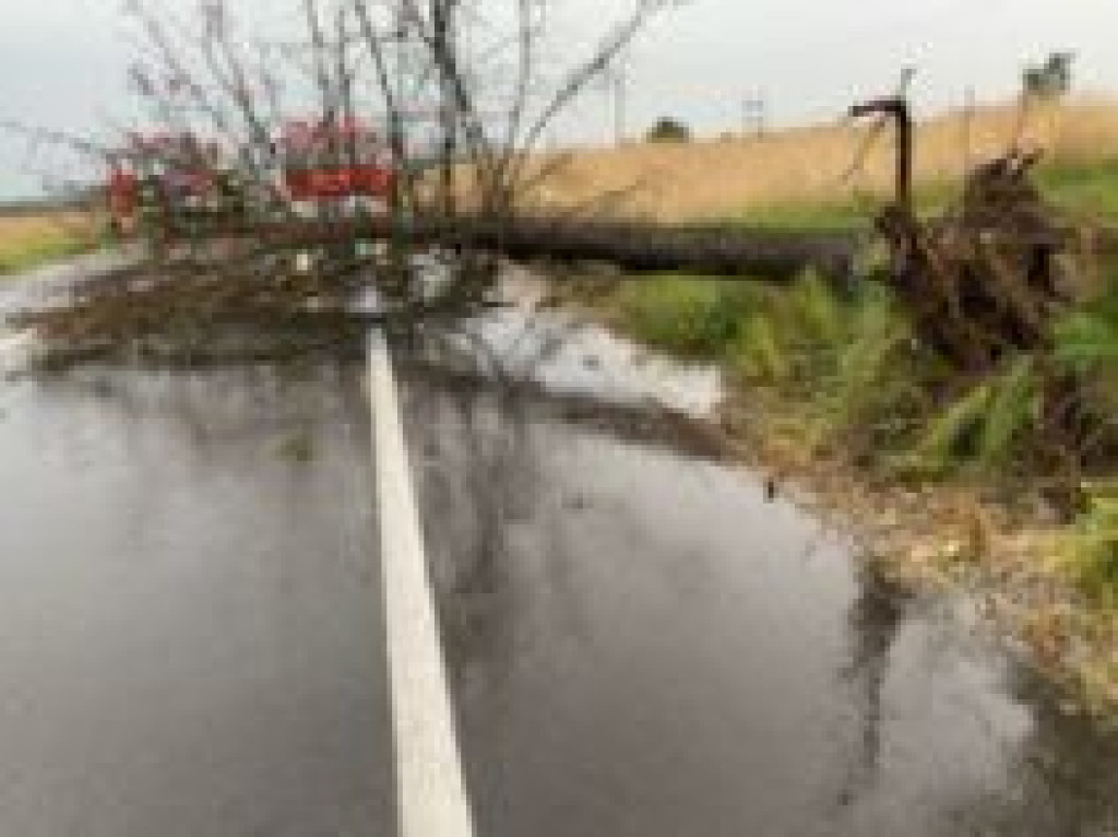 Interwencje strażaków w lipcu