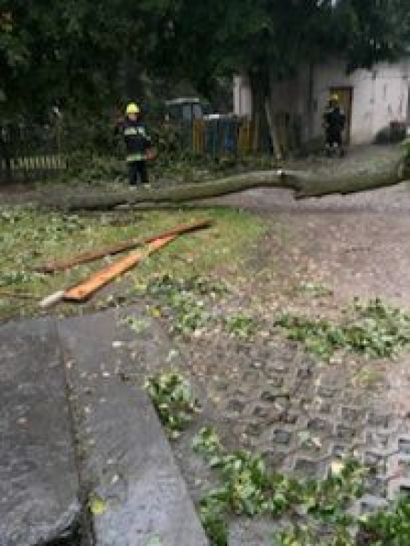 Interwencje strażaków w lipcu