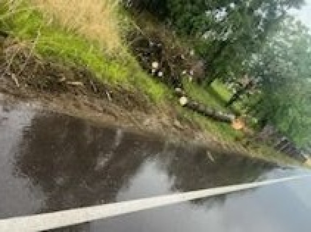 Interwencje strażaków w lipcu