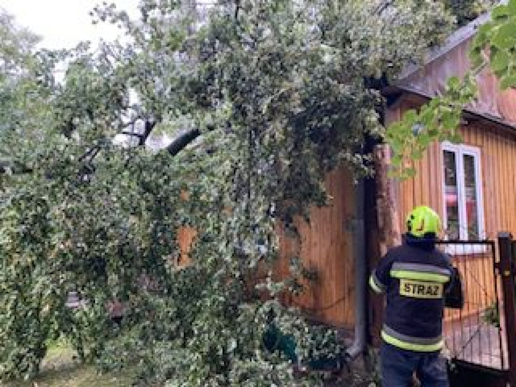 Interwencje strażaków w lipcu