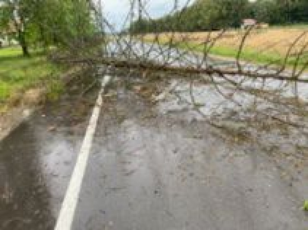 Interwencje strażaków w lipcu