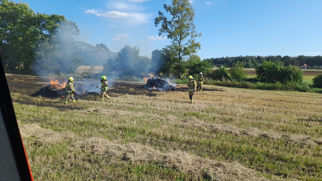 Interwencje strażaków w lipcu