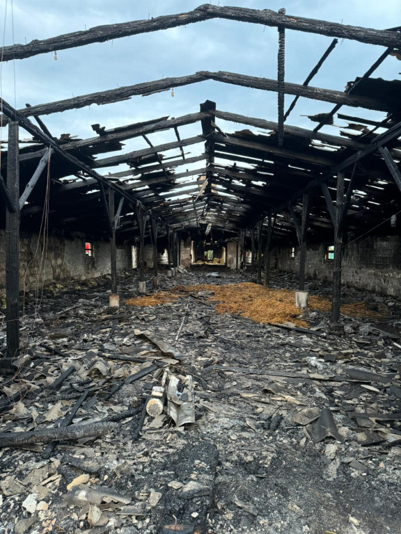 Pożar w Miłolesie
