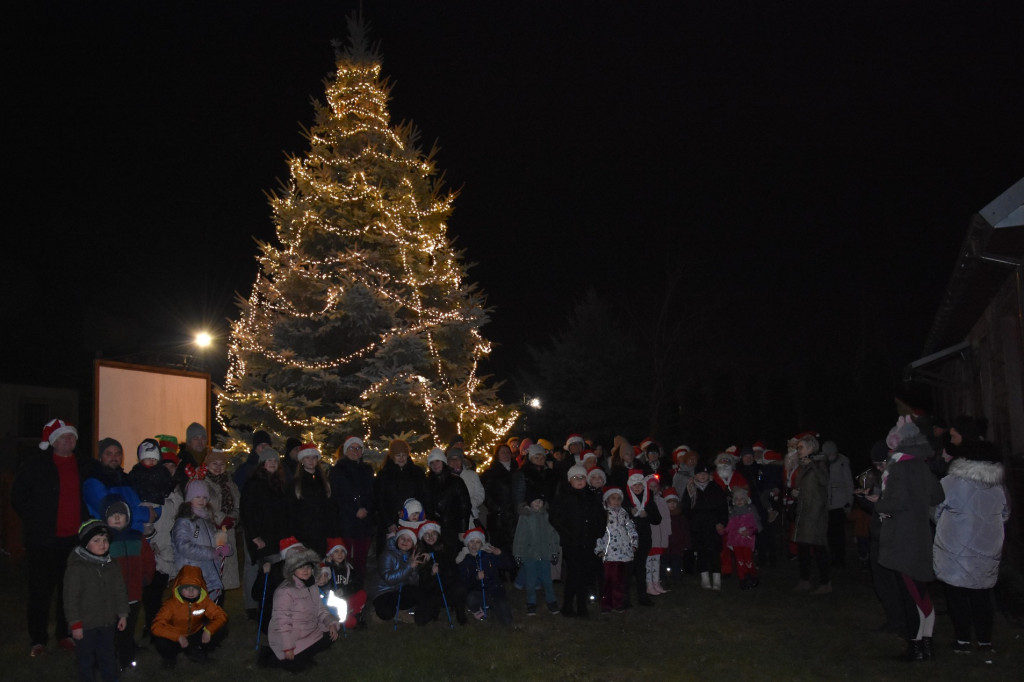 Uroczyste rozświetlenie choinki w Białej