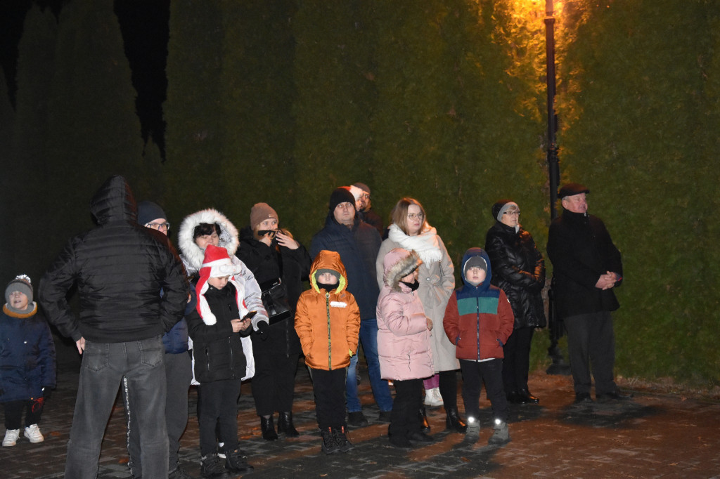 Uroczyste rozświetlenie choinki w Białej