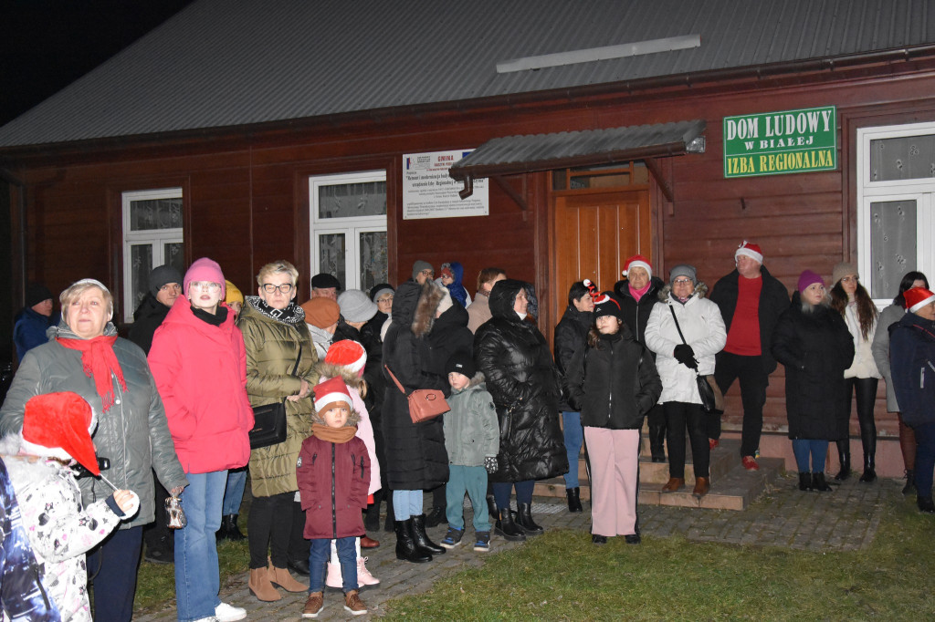 Uroczyste rozświetlenie choinki w Białej