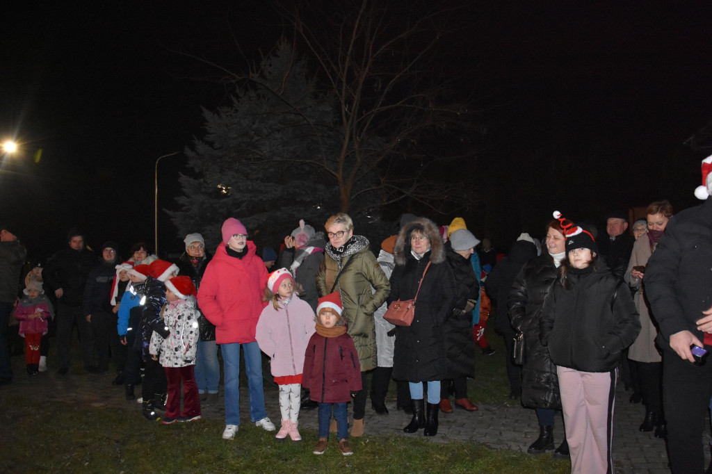Uroczyste rozświetlenie choinki w Białej
