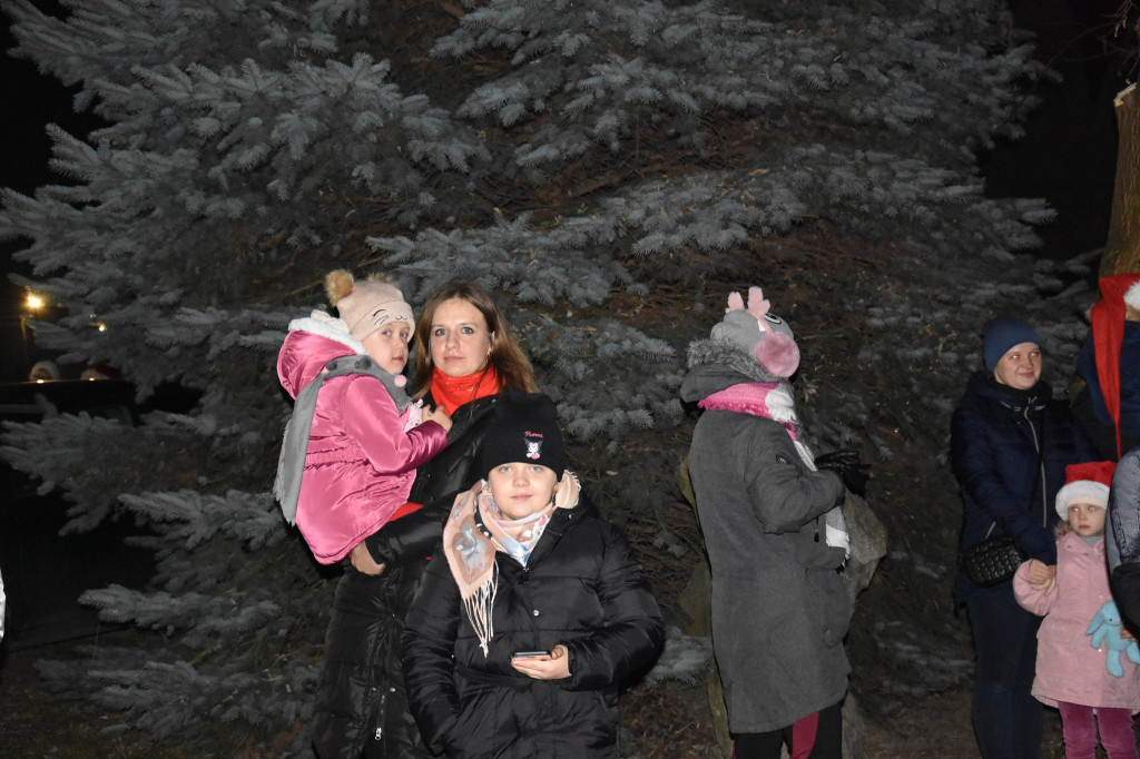 Uroczyste rozświetlenie choinki w Białej