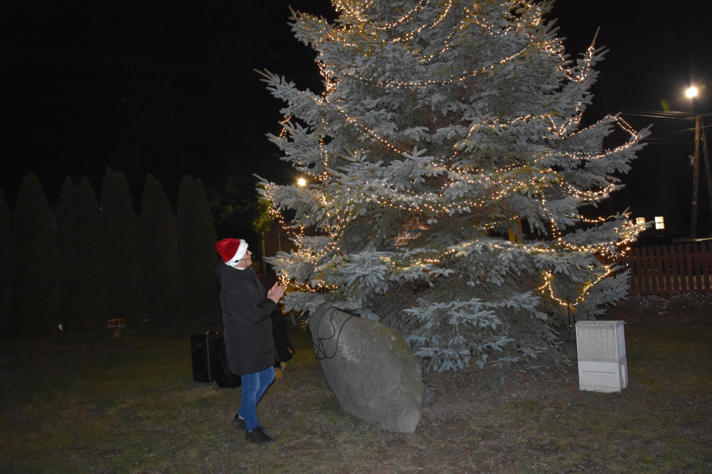Uroczyste rozświetlenie choinki w Białej