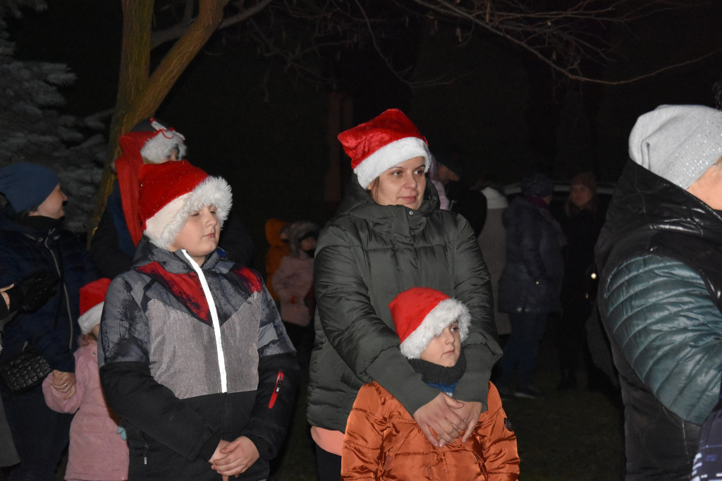Uroczyste rozświetlenie choinki w Białej