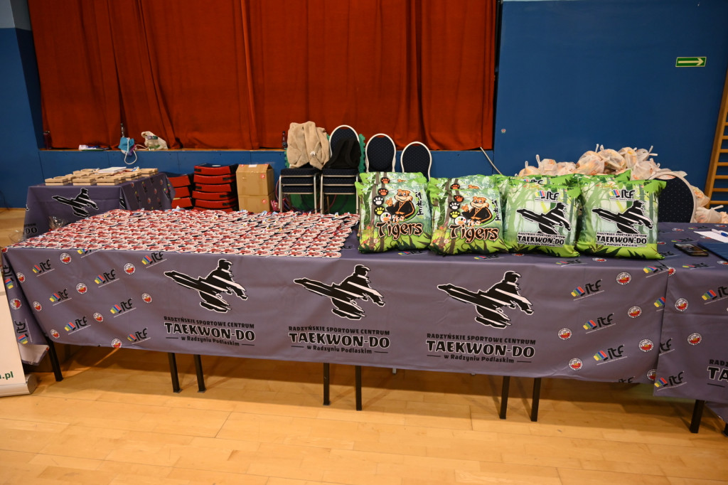 Mikołajkowy Turniej Taekwon-do w Radzyniu