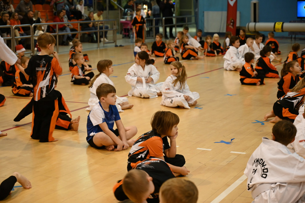Mikołajkowy Turniej Taekwon-do w Radzyniu