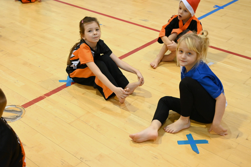 Mikołajkowy Turniej Taekwon-do w Radzyniu