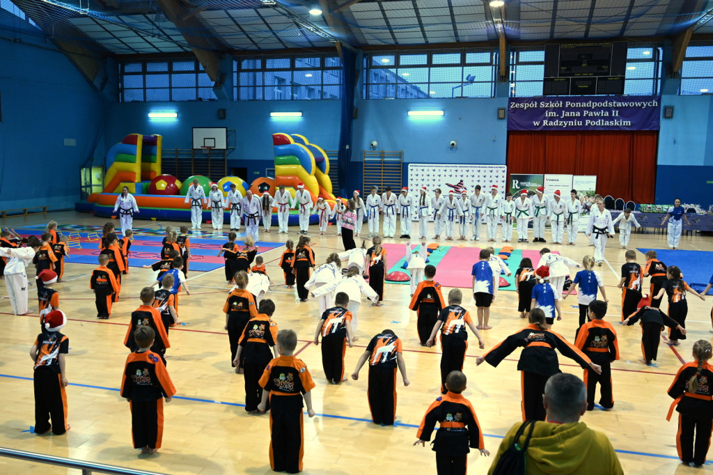 Mikołajkowy Turniej Taekwon-do w Radzyniu