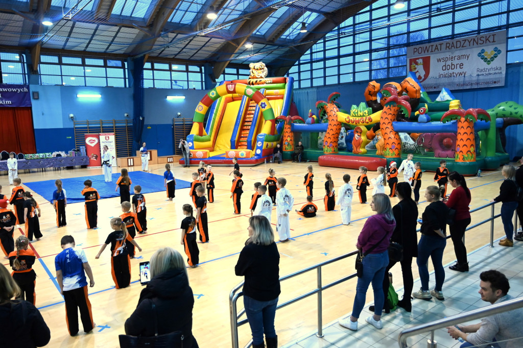 Mikołajkowy Turniej Taekwon-do w Radzyniu