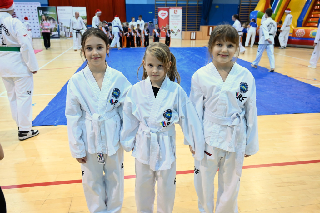 Mikołajkowy Turniej Taekwon-do w Radzyniu