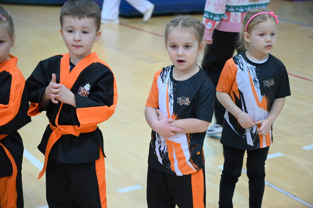 Mikołajkowy Turniej Taekwon-do w Radzyniu