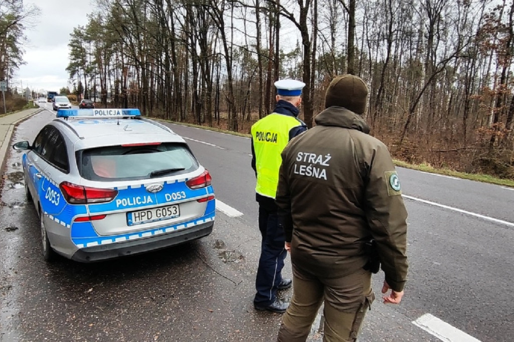 Akcja >>Choinka 2024<< w powiecie radzyńskim