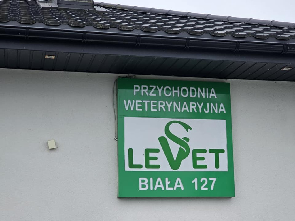 Dzieci z SP w Sobolach w przychodni weterynaryjnej