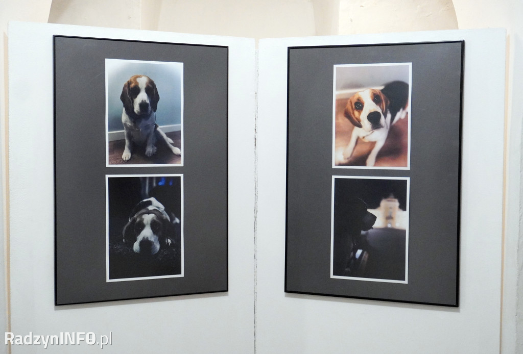 Wystawa zdjęć Marii Kiewel i Dominika Kulpy