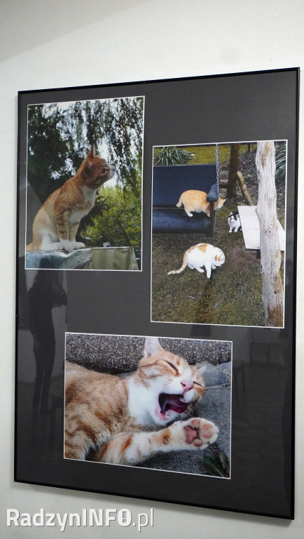 Wystawa zdjęć Marii Kiewel i Dominika Kulpy