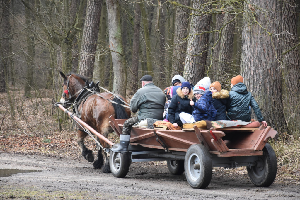 Ferie w gminie Radzyń Podlaski