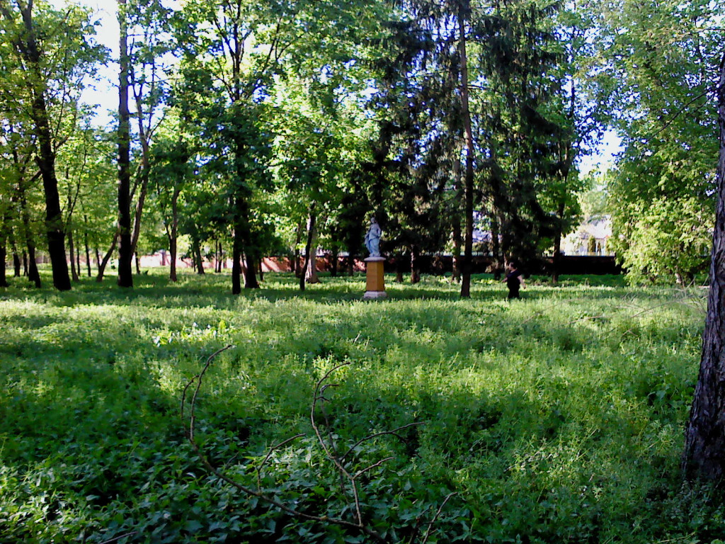 Akcja >>Spacer po Radzyniu, jakiego nie znasz<<