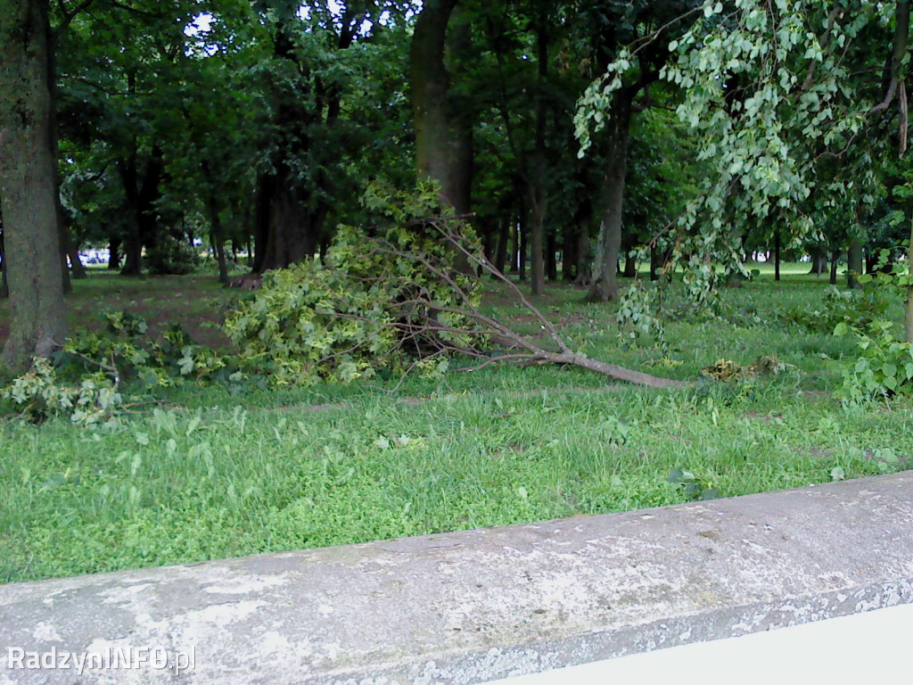 Połamane drzewa w parku po burzy