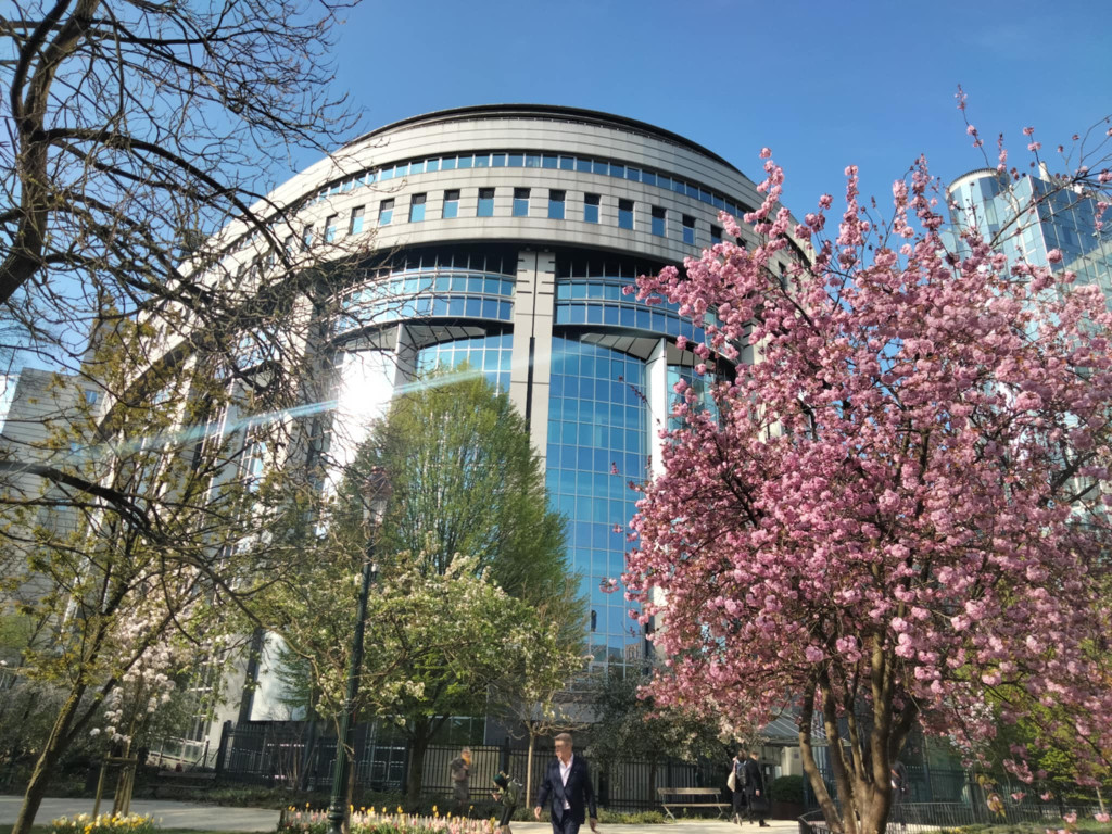 Wyjazd uczennicy II LO do Brukseli