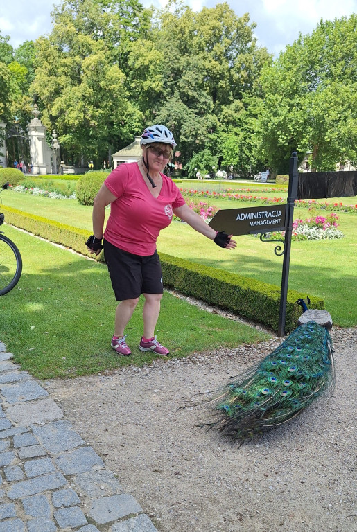 Radzyńska Grupa Rowerowa na 31. Święcie Roweru