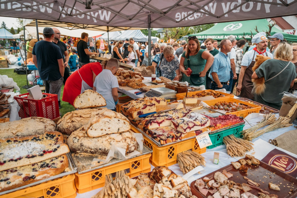 Dożynki Powiatowo-Gminne w Kąkolewnicy
